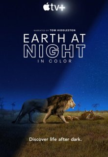 Смотреть Земля ночью в цвете онлайн в хорошем качестве